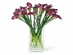 ETERNITY RUBBER CALLA Растения - фото 1 из 5